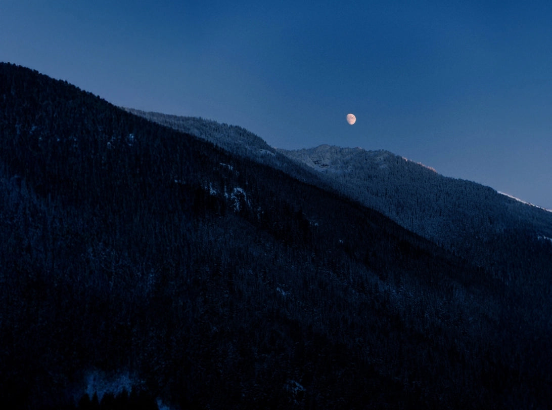 StarPeak Phone Cases