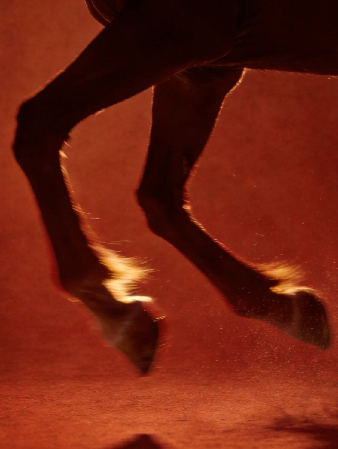 Happiness Rides In | Year of the Horse Handyhülle - 1