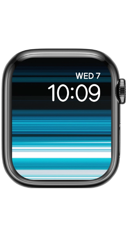 PITAKA Christmas 2023