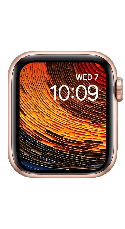 PITAKA Christmas 2023