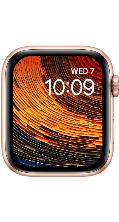 PITAKA Christmas 2023