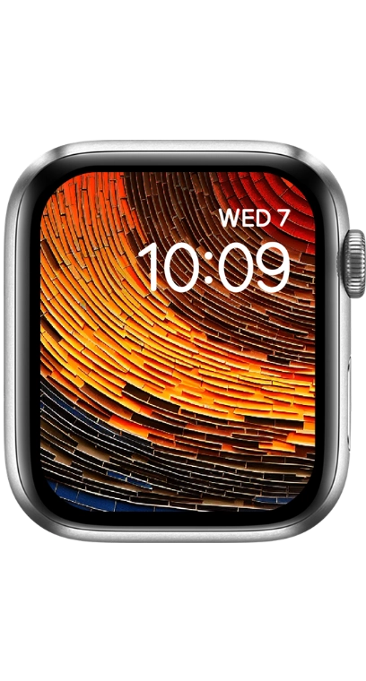 PITAKA Christmas 2023