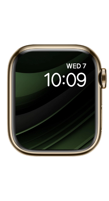 PITAKA Christmas 2023